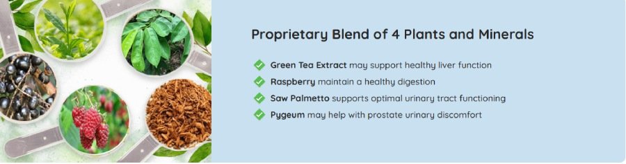 Prosta Peak-Main ingredients